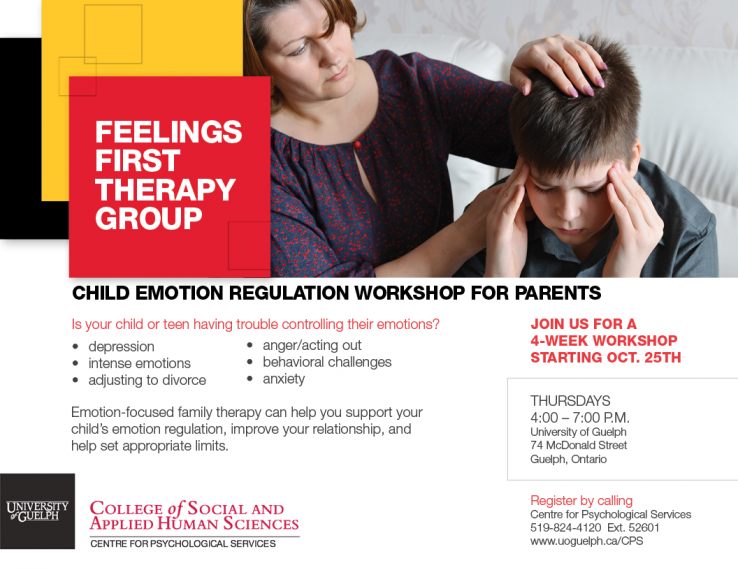 Emotion Regulation Workshop for Parents and Children | Social & Applied